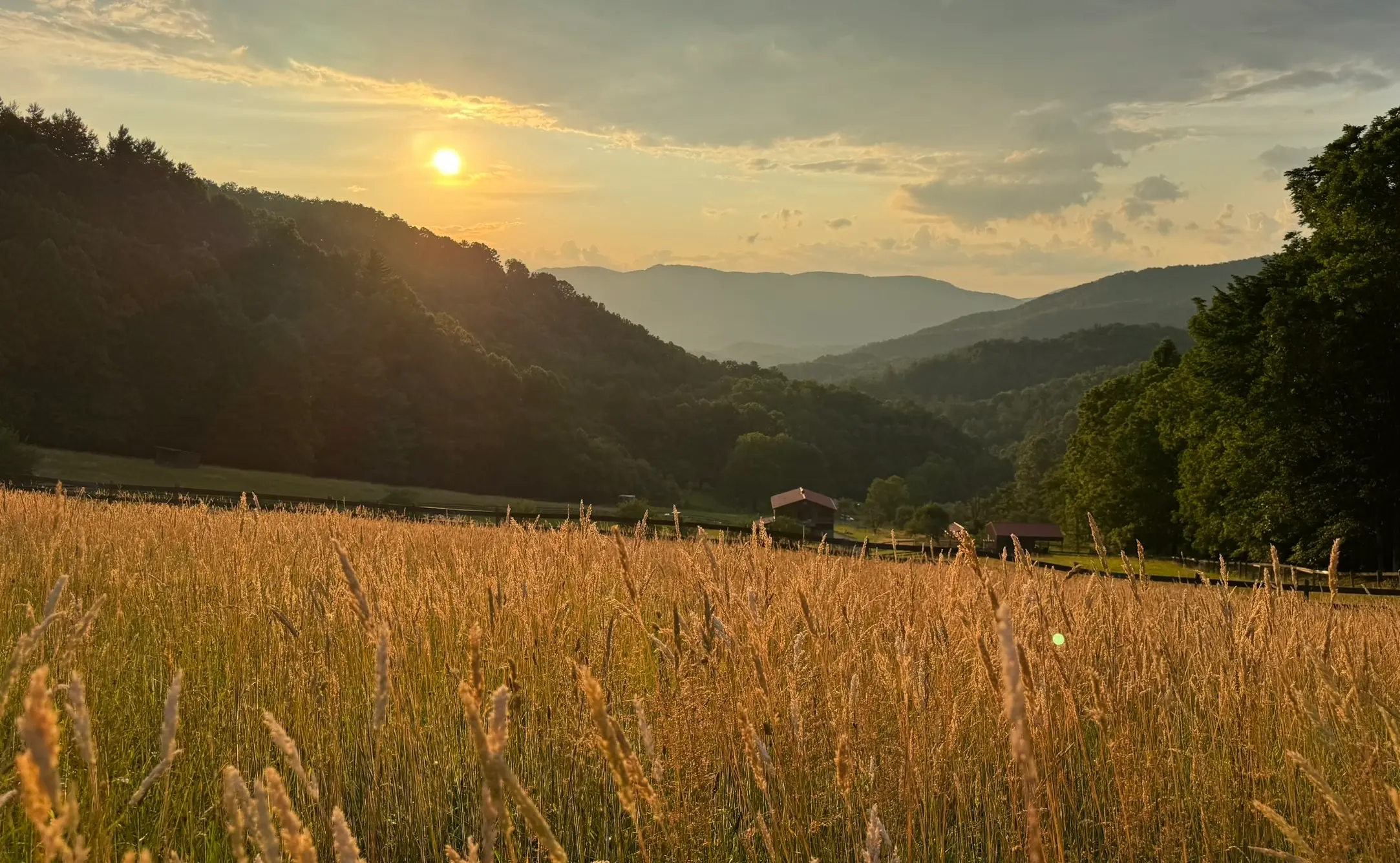 Golden evening light over the valley