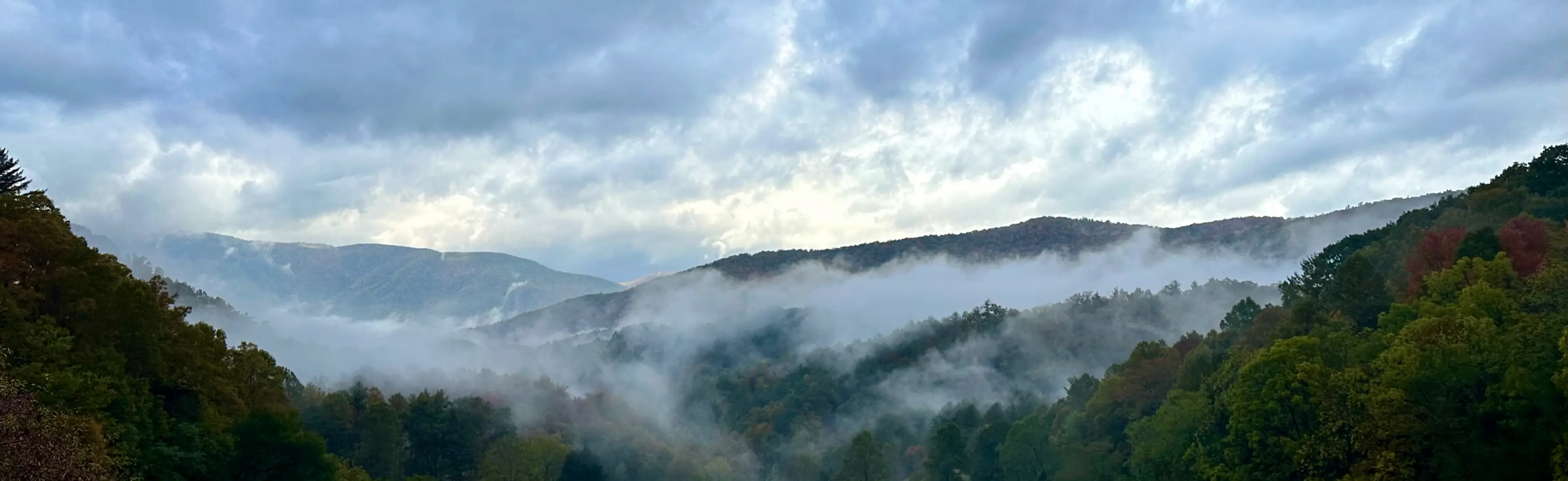 Morning mist in the valley